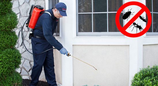 Gümüşhane Uçan Haşere İlaçlama böcek ilaçlama ve haşere kontrolü — ilaclama-tr.com